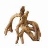 Dekor Wurzel - Mangrove - 17 X 11,5 X 14 Cm 1 Dekor Wurzel - Mangrove - 17 X 11,5 X 14 Cm -Garten & Außenbereich 107638Ep 1