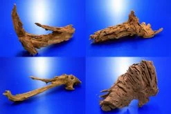 Mangroven-Wurzel Gr. S / 15 - 20 Cm Nano-Mangrovenholz