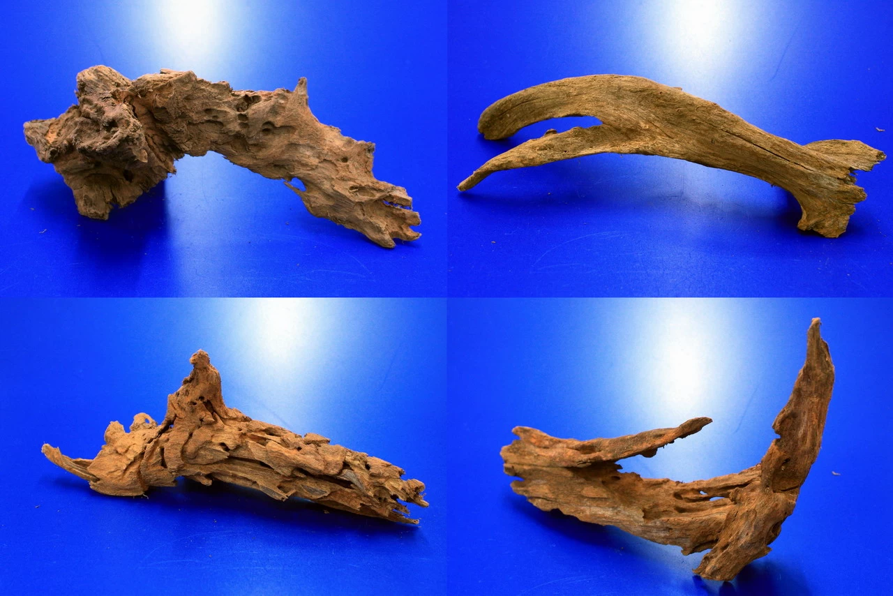 Mangroven-Wurzel Gr. M / 20 - 30 Cm Mangrovenholz 3 Mangroven-Wurzel Gr. M / 20 - 30 Cm Mangrovenholz