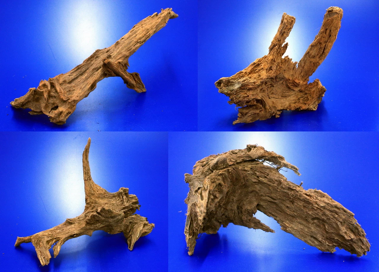 Mangroven-Wurzel Gr. XXL / 50 - 60 Cm Mangrovenholz 3 Mangroven-Wurzel Gr. XXL / 50 - 60 Cm Mangrovenholz