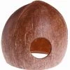 Hobby Aqua-Cave M / Cocos-Nuss Als Brut- Und Versteck-Höhle Ca. 11x10x10cm -Garten & Außenbereich 40215HO 1 1