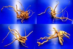 Moorwurzel/Moorkienholz, Gr. S Traumwurzel 20-30cm