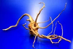 Moorwurzel/Moorkienholz, Gr. S Traumwurzel 20-30cm -Garten & Außenbereich 4080070AD 1 6