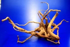 Moorwurzel/Moorkienholz, Gr. M Traumwurzel 30-40cm -Garten & Außenbereich 4080075AD 1 10