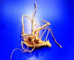 Moorwurzel/Moorkienholz, Gr. M Traumwurzel 30-40cm -Garten & Außenbereich 4080075AD 1 8