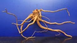 Moorwurzel/Moorkienholz, Gr. L Traumwurzel 40-50cm -Garten & Außenbereich 4080080AD 1 4