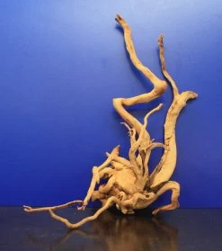 Moorwurzel/Moorkienholz, Gr. L Traumwurzel 40-50cm -Garten & Außenbereich 4080080AD 1 6