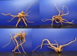 Moorwurzel/Moorkienholz, Gr. XL Traumwurzel 50-60cm