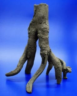 Hobby Detaillierte Stelz-Wurzel Nr. 2, 390x370x280mm Aus Dunklem Kunststoff -Garten & Außenbereich 41476Ho 1 3