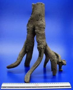 Hobby Detaillierte Stelz-Wurzel Nr. 2, 390x370x280mm Aus Dunklem Kunststoff -Garten & Außenbereich 41476Ho 1 4