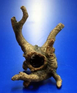 Hobby Urwaldbaum Mit Höhle / Regenwaldbaum Ca. 21x18x14cm, Mit Vielen Kleinen Details -Garten & Außenbereich 41550HO 1 6