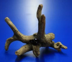 Hobby Urwaldbaum Mit Höhle / Regenwaldbaum Ca. 21x18x14cm, Mit Vielen Kleinen Details -Garten & Außenbereich 41550HO 1 8