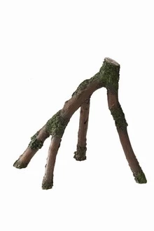 Aqua Della Mangrove Wood M