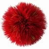 Plant Ball - Red - Ca.11 X 11 X 11 Cm -Garten & Außenbereich 430002Ep 1