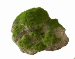 Moss Stone - M - Ca. 16 X 11 X 11 Cm - Mit Saugnapf