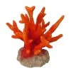 Orange Nadelkoralle, Seriatopora Koralle Ca. 8,5 X 8,5 X 9 Cm