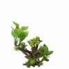 Flora Scape 4 - M - Ca. 20,5x19x23 Cm 1 Flora Scape 4 - M - Ca. 20,5x19x23 Cm -Garten & Außenbereich 432082Ep 1
