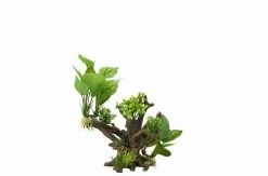 Flora Scape 4 - M - Ca. 20,5x19x23 Cm