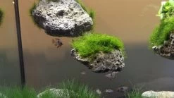 Schwebende Steine Größe: S / Floating Stone 10-17cm