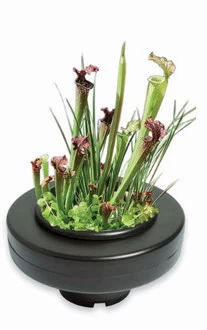 Schwimmende Pflanzschale - Pflanzkorb Ca. ø 23 Cm, Schwarz