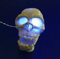 ARCADIA Totenkopf Weiß Mit Einsatz Für LED-Aquarienstrahler -Garten & Außenbereich CAD25WAF 1 3