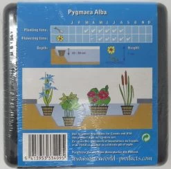 Anzucht-Set Weiße Zwerg-Seerose / Nymphaea Pygmaea Alba (tetragona) Miniseerose 7 Anzucht-Set Weiße Zwerg-Seerose / Nymphaea Pygmaea Alba (tetragona) Miniseerose -Garten & Außenbereich GT2010wf 1 3