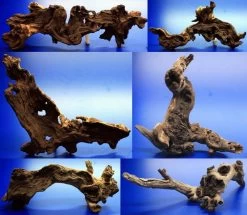 Mopani-Wurzel 20-30 Cm / Eisenholz Zwei-farbig Gr. M