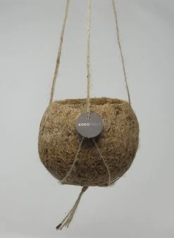 Kokodama-Ampel - Ø 12 Cm - Hängender Blumentopf