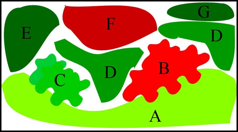 Unterwasser-Landschaft Lotuswelt Für Ein 60 Liter Aquarium 4 Unterwasser-Landschaft Lotuswelt Für Ein 60 Liter Aquarium – Bild 2