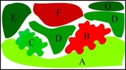 Unterwasser-Landschaft Lotuswelt Für Ein 100 Liter Aquarium -Garten & Außenbereich S2 060wf 1 2