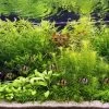 Unterwasser-Landschaft Holland-Aquarium Für Ein 400 Liter Aquarium 1 Unterwasser-Landschaft Holland-Aquarium Für Ein 400 Liter Aquarium -Garten & Außenbereich S4 200wf 1 1 2