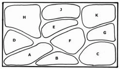 Unterwasser-Landschaft Holland-Aquarium Für Ein 300 Liter Aquarium -Garten & Außenbereich S4 200wf 1 2 1
