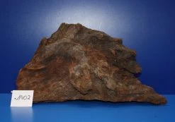 XL Mangroven-Wurzel 40x22x18 Unikat - Traumwurzel #1402