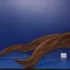 6XL Mangroven-Wurzel 134x27x60 Unikat - Traumwurzel #1440