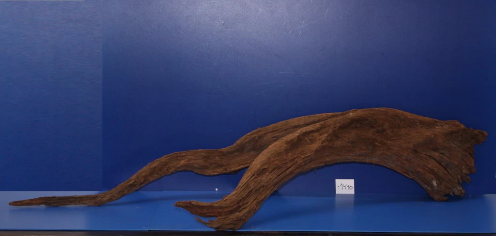 6XL Mangroven-Wurzel 134x27x60 Unikat - Traumwurzel #1440 3 6XL Mangroven-Wurzel 134x27x60 Unikat - Traumwurzel #1440