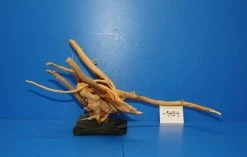 XL Rote Moorwurzel / Moorkienholz 38x19x24 Traumwurzel #1494 Auf Schiefer