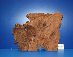 XL Mangroven-Wurzel 42x31x16 Unikat - Traumwurzel #1536