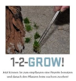 1-2-GROW! Brasilianische Graspflanze / Lilaeopsis Brasiliensis Von TROPICA -Garten & Außenbereich oD040TC T 1 4