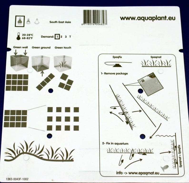 Green-Wall XL Schmalblättriges Javafarn / Microsorum Minor Auf Matte Ca. 170x140 Mm 7 Green-Wall XL Schmalblättriges Javafarn / Microsorum Minor Auf Matte Ca. 170x140 Mm – Bild 5
